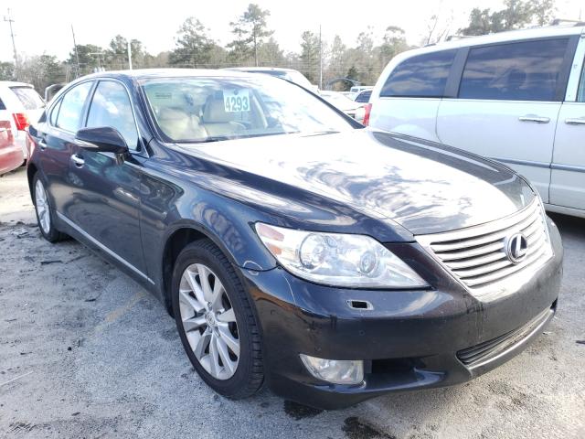 LEXUS LS 460 2011 jthcl5ef9b5008973