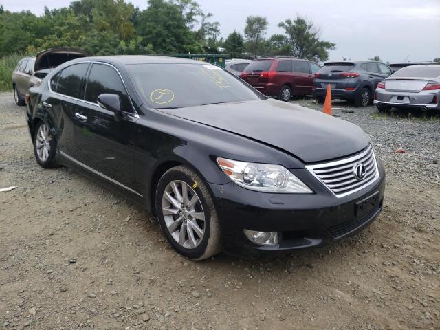 LEXUS LS 460 2011 jthcl5efxb5009162