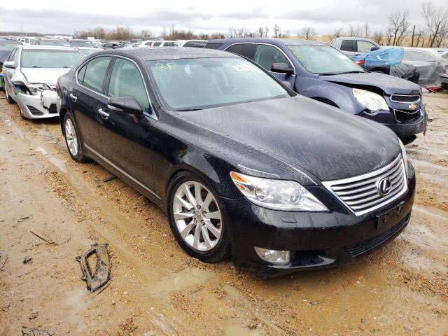 LEXUS LS 460 2011 jthcl5efxb5010635