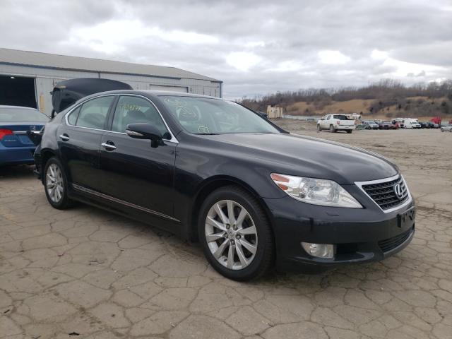 LEXUS LS 460 2012 jthcl5efxc5013388