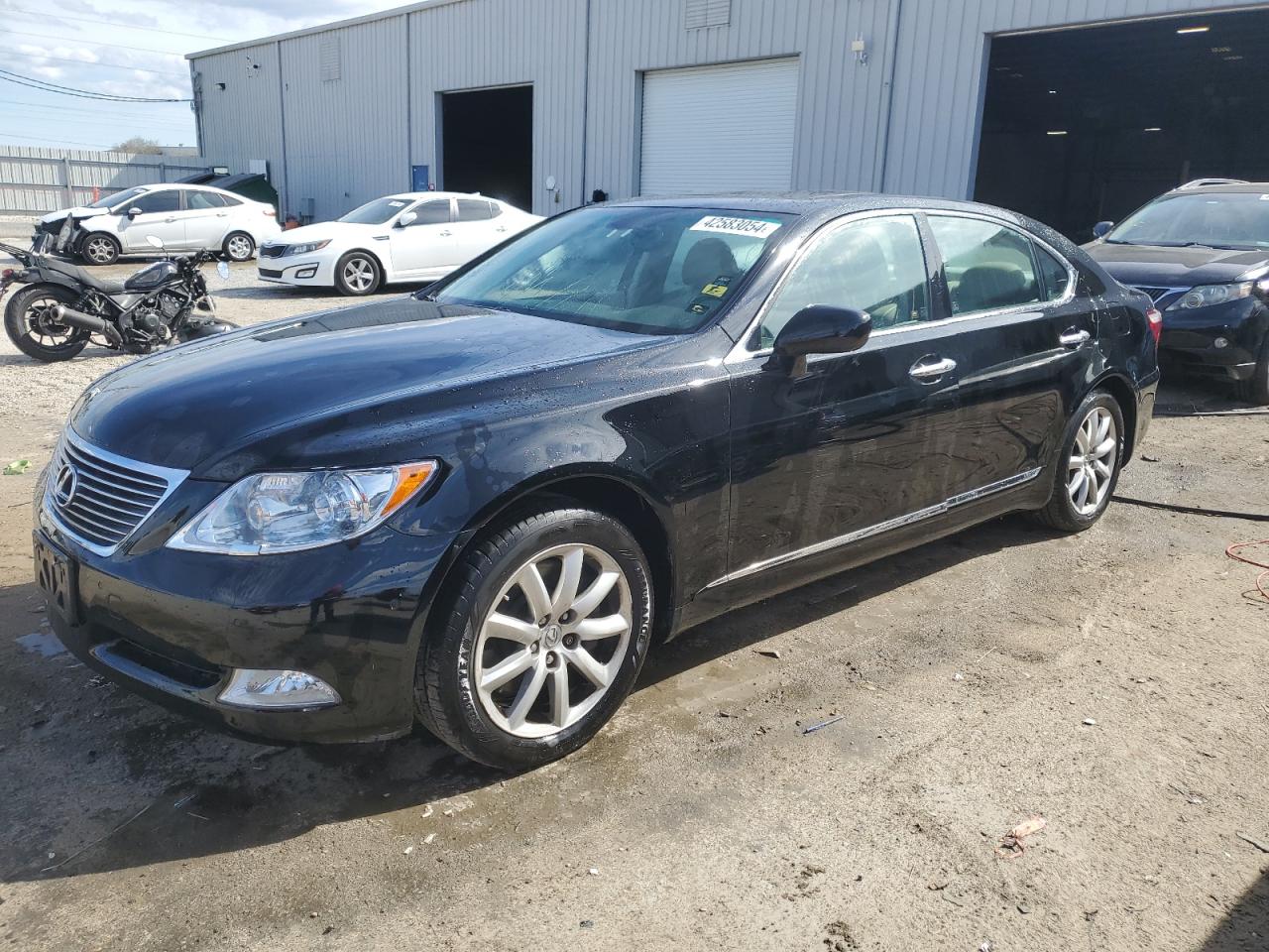 LEXUS LS 2009 jthdl46f095000185