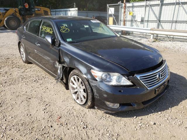 LEXUS LS 460 2010 jthdl5ef4a5002842