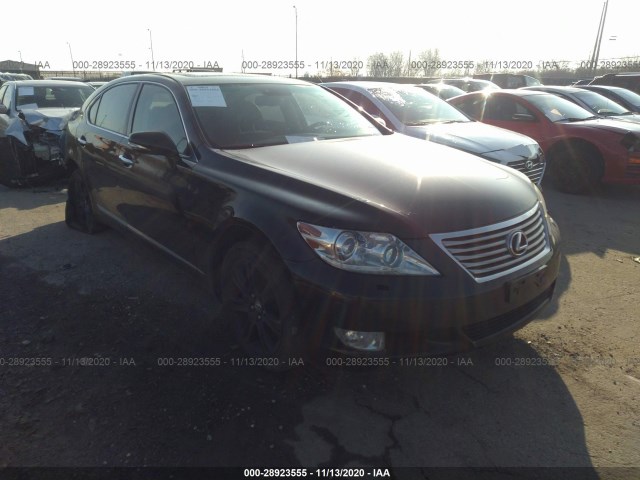 LEXUS LS 460 2010 jthdl5ef7a5001667