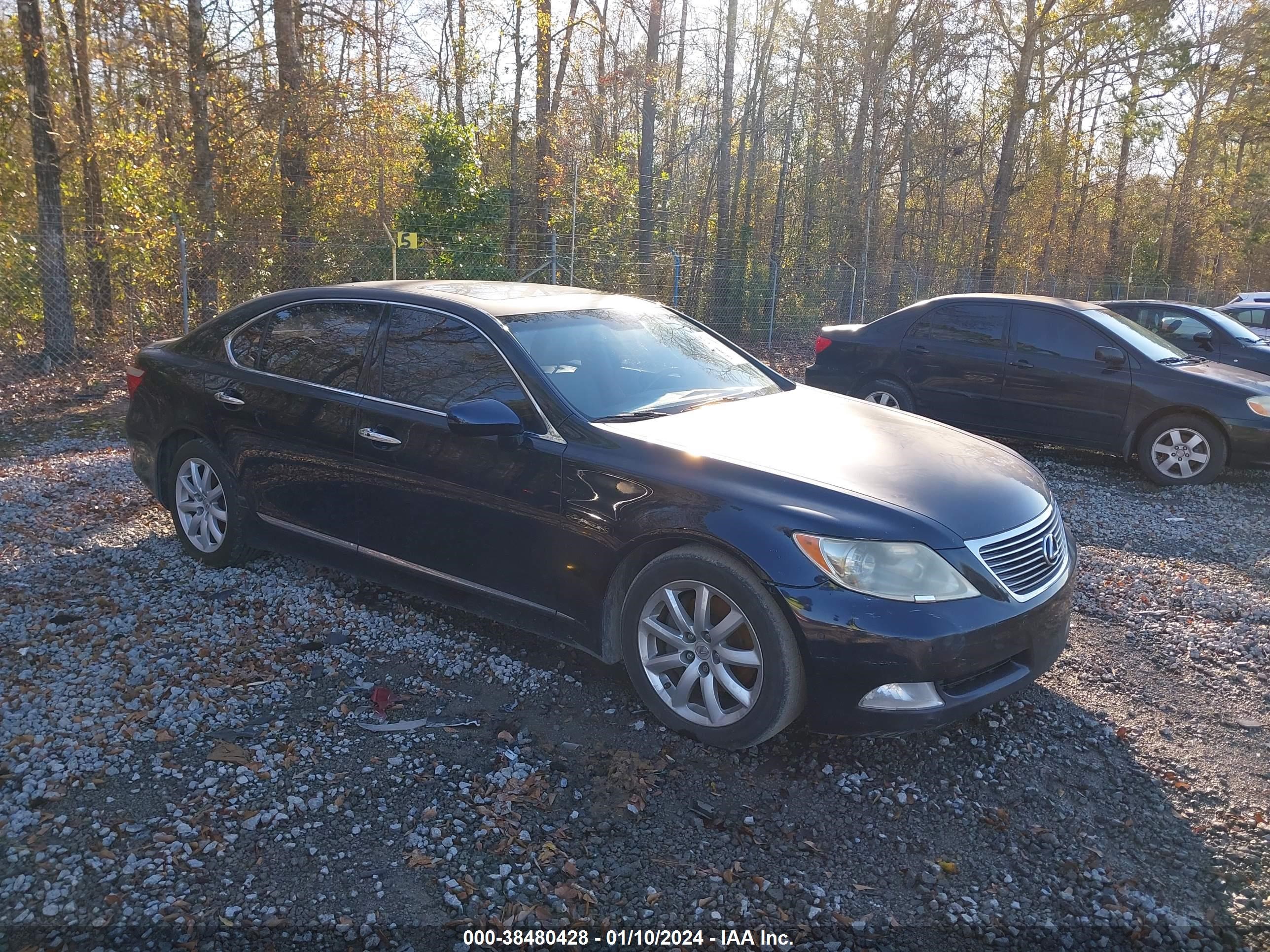 LEXUS LS 2008 jthgl46f685032585