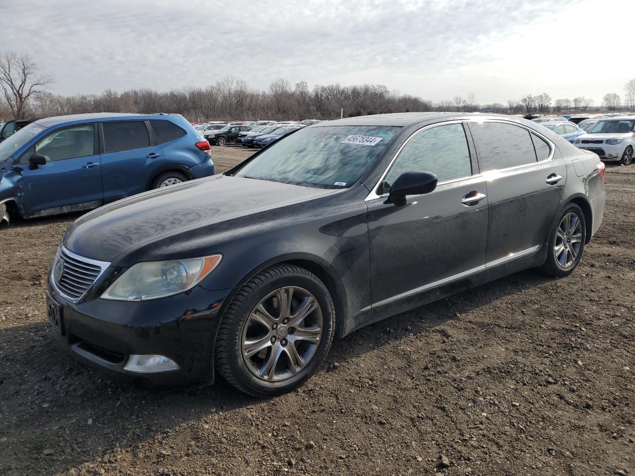 LEXUS LS 2008 jthgl46f785020946