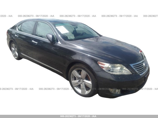 LEXUS LS 460 2011 jthgl5ef1b5042083