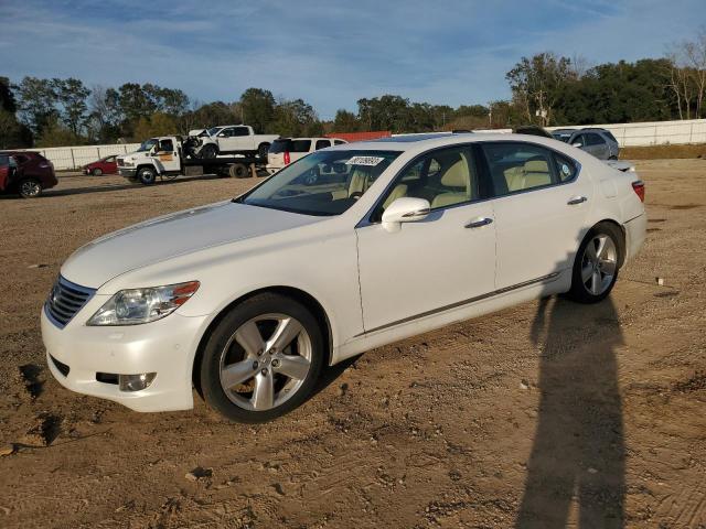 LEXUS LS460 2011 jthgl5ef1b5044500