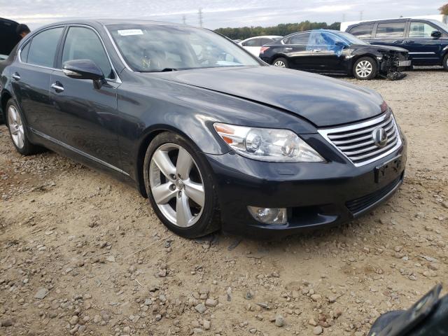 LEXUS LS 460L 2011 jthgl5ef2b5043596