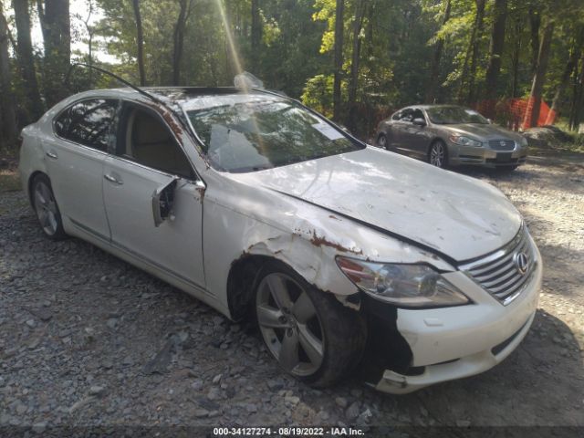 LEXUS LS 460 2011 jthgl5ef3b5042456