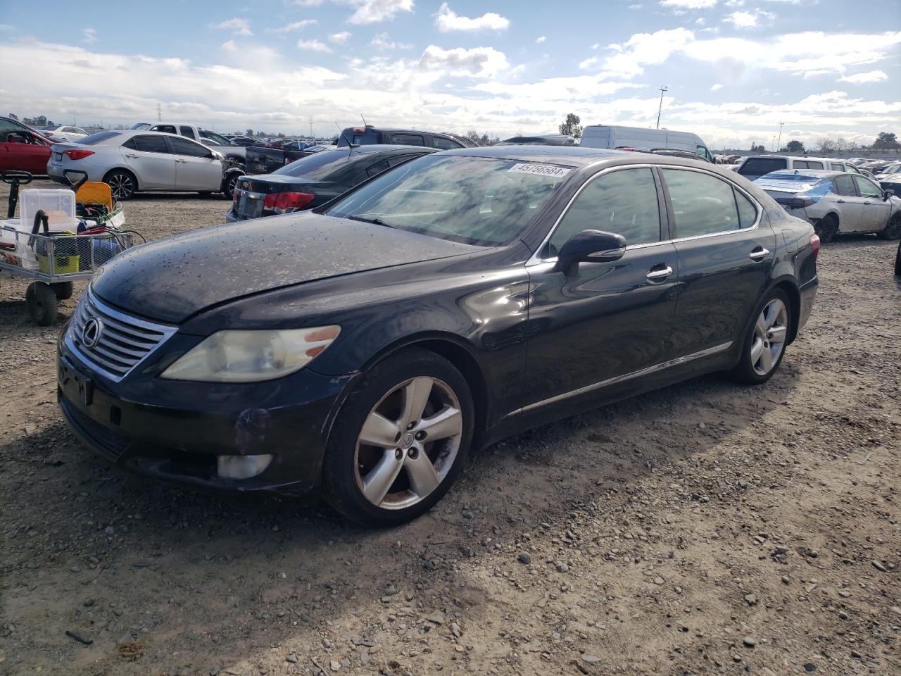 LEXUS LS 2011 jthgl5ef3b5043865