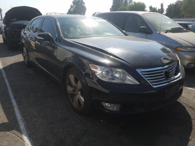 LEXUS LS 460L 2011 jthgl5ef5b5041972