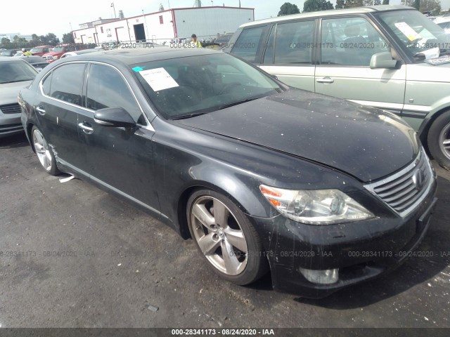 LEXUS LS 460 2011 jthgl5ef6b5044167