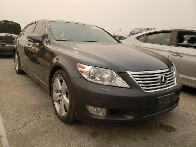 LEXUS LS 460 2010 jthgl5ef7a5039879