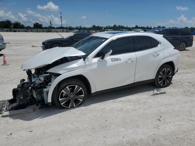 LEXUS UX 250H PR 2023 jthp6jbh3p2145892