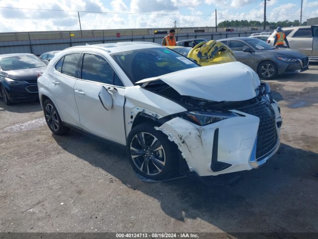 LEXUS UX 2024 jthp6jbh7r2181622