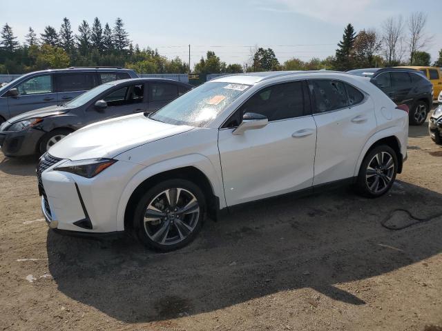 LEXUS UX 250H PR 2024 jthp9jbh4r2075099