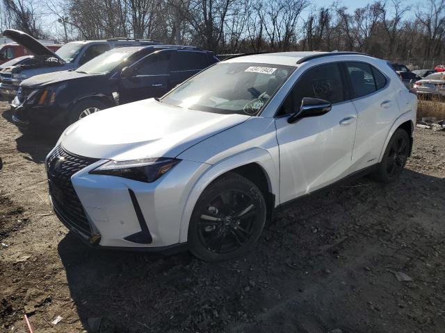 LEXUS NULL 2021 jthp9jbh7m2047600