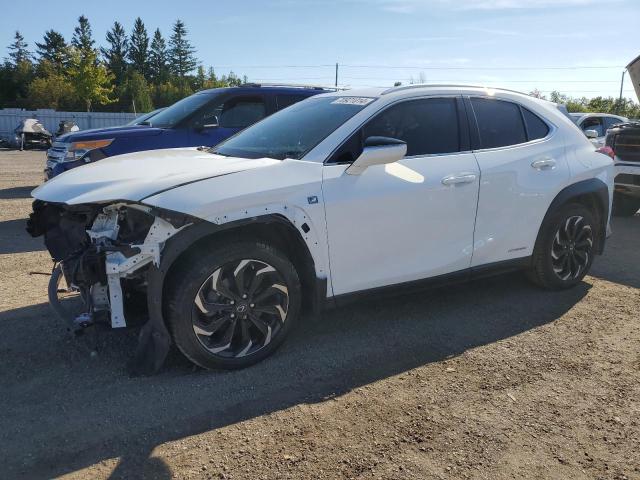 LEXUS UX 250H 2020 jthr9jbh6l2027166