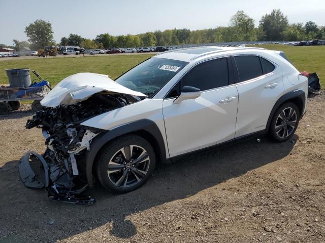 LEXUS UX 250H 2019 jthu9jbh7k2003709