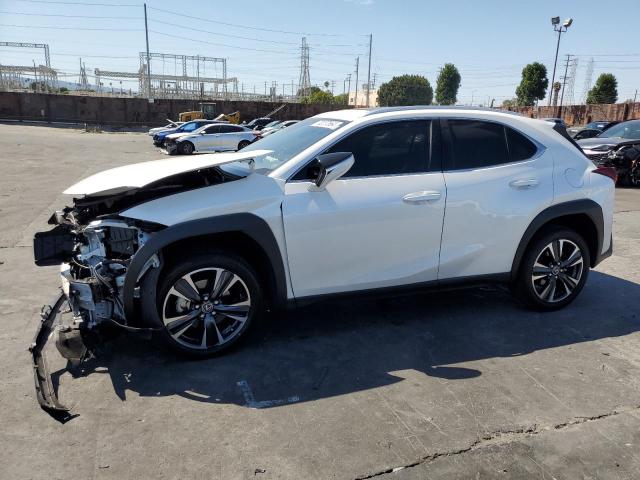 LEXUS UX 250H BA 2024 jthx6jbh7r2189588