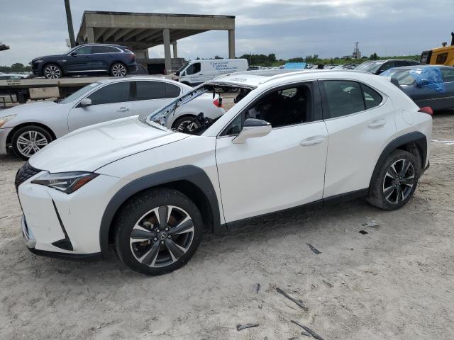 LEXUS UX 200 2019 jthy3jbh3k2001622