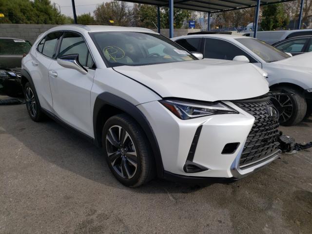 LEXUS NULL 2019 jthy3jbh3k2015648