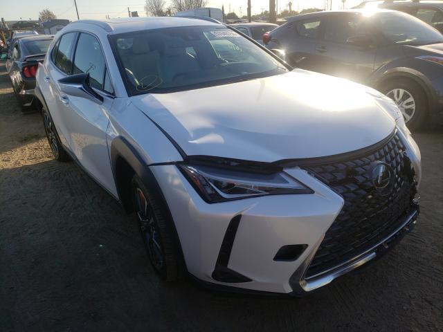 LEXUS UX 2019 jthy3jbh3k2018520