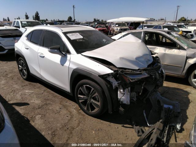 LEXUS UX 2019 jthy3jbh6k2014249