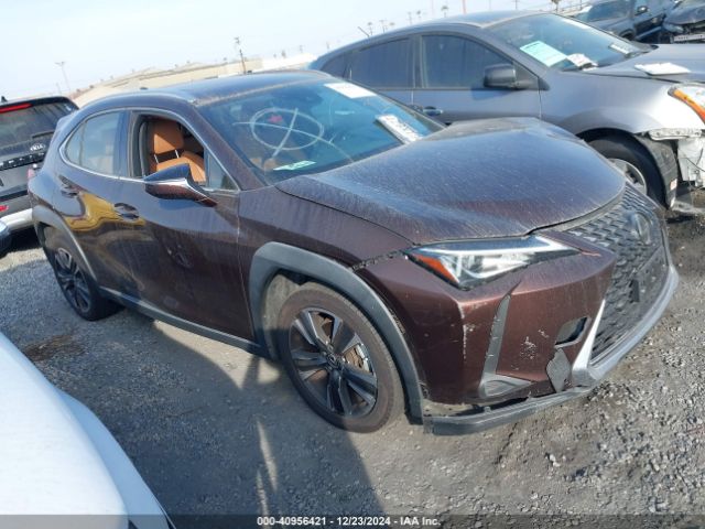 LEXUS UX 2019 jthy3jbhxk2017624