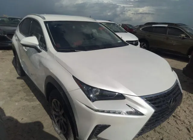 LEXUS NX 2020 jtjaarbz8l2159193