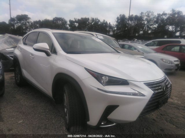 LEXUS NX 2020 jtjaardz2l5006921