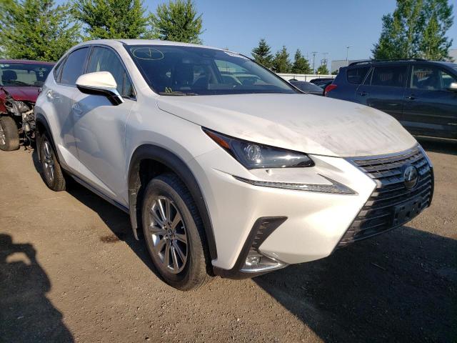 LEXUS NX 300 BAS 2020 jtjaardz9l5015258