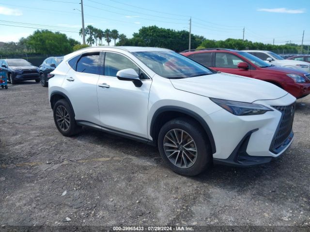 LEXUS NX 2024 jtjadcaz0r5013562