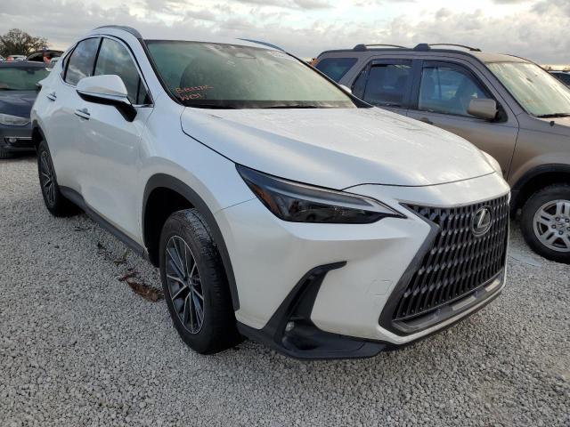 LEXUS NX 250 2022 jtjadcaz2n5000242