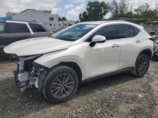 LEXUS NX 250 2023 jtjadcaz3p2006300