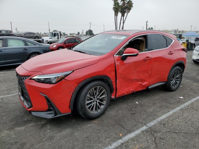 LEXUS NX 250 BAS 2024 jtjadcaz3r2009717