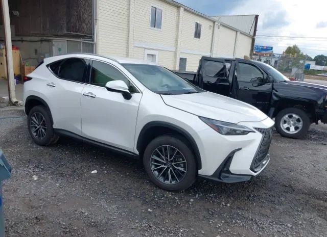 LEXUS NX 2023 jtjadcaz5p5012372