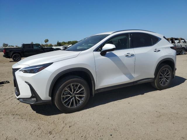 LEXUS NX 250 BAS 2024 jtjadcaz6r5013811