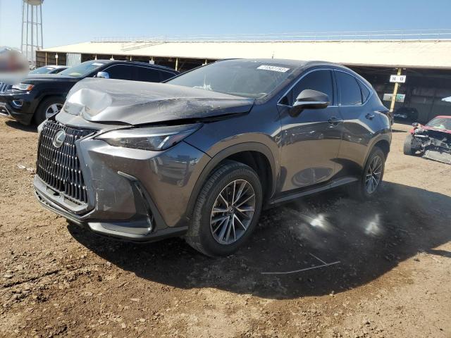 LEXUS NX 250 2022 jtjadcaz7n2001727