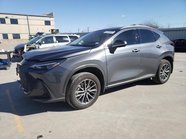 LEXUS NX 250 2023 jtjadcaz8p5010647