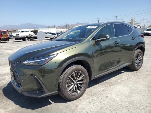 LEXUS NX 250 2023 jtjadcaz9p2007774