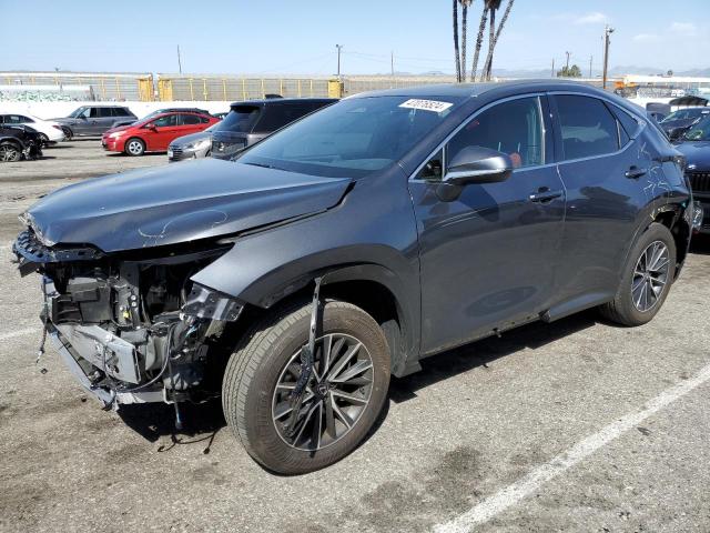 LEXUS NX 250 BAS 2024 jtjadcaz9r5014239