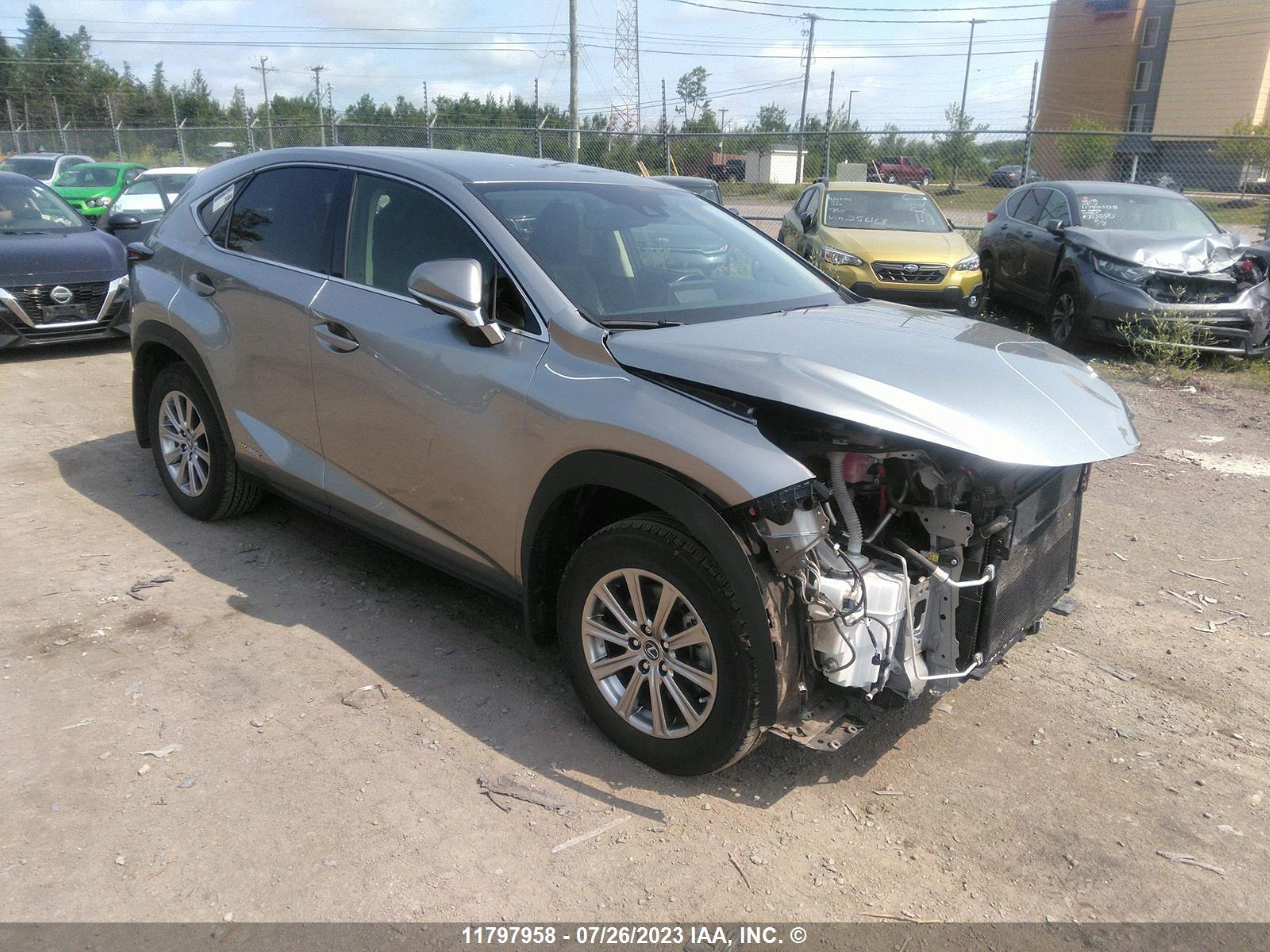 LEXUS NX 2020 jtjajrdz3l2142394