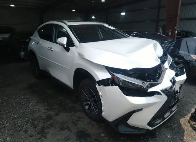 LEXUS NX 2022 jtjakcez5n5002387