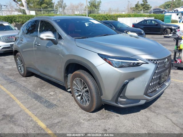 LEXUS NX 2023 jtjakcez6p5006385