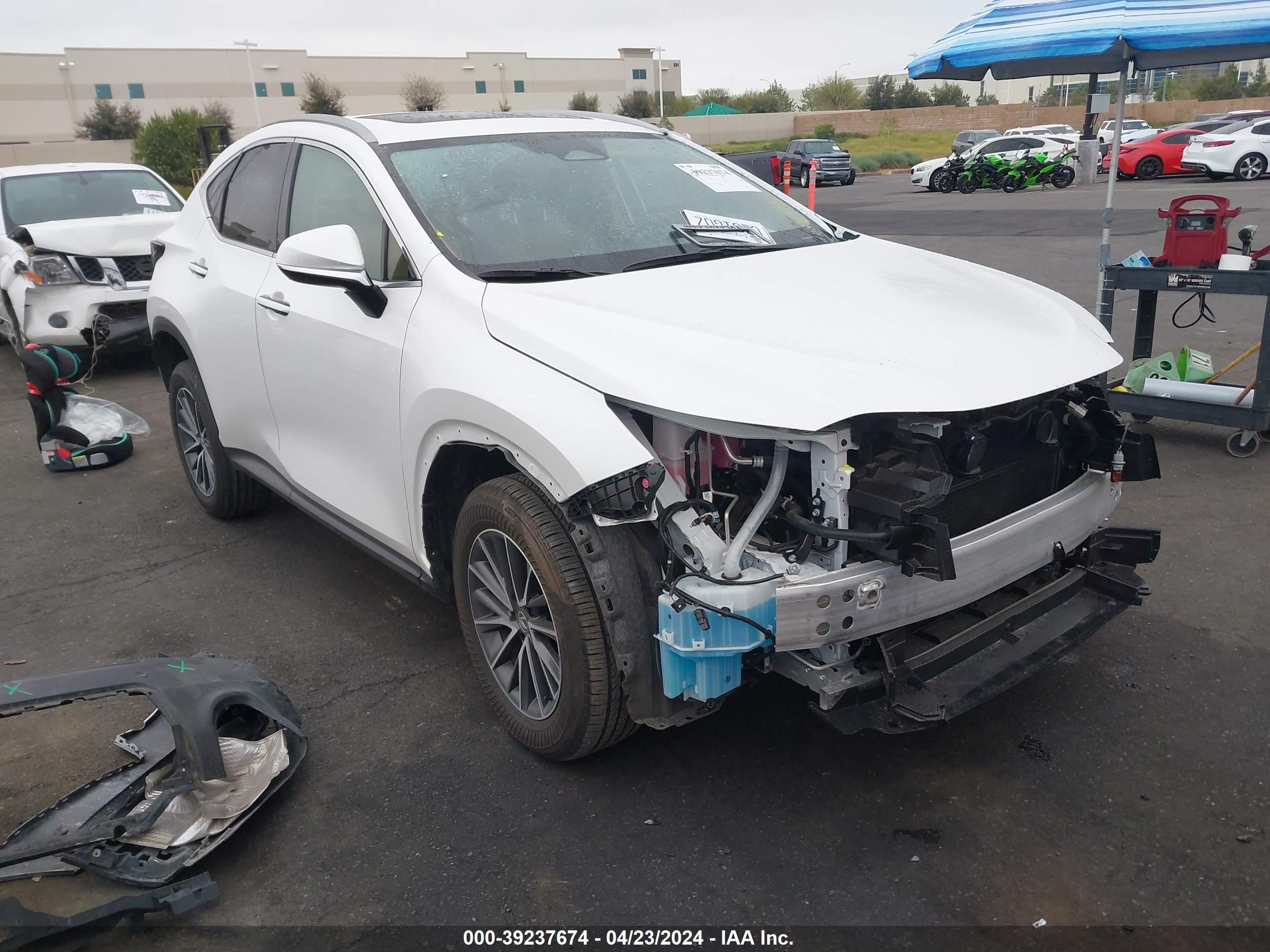 LEXUS NX 2024 jtjakcez6r5016904