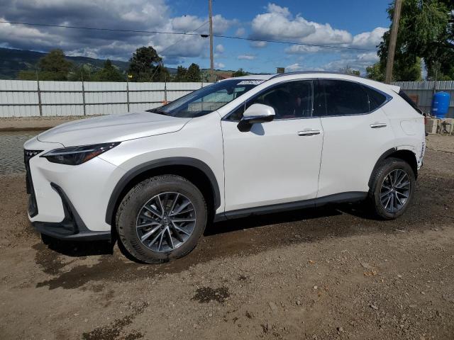 LEXUS NX 2022 jtjakcez7n2009455