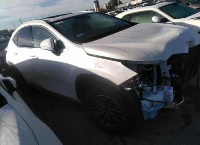 LEXUS NX 2022 jtjakcez7n5004092