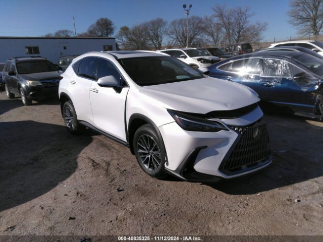 LEXUS NX 2024 jtjakcez7r5018242