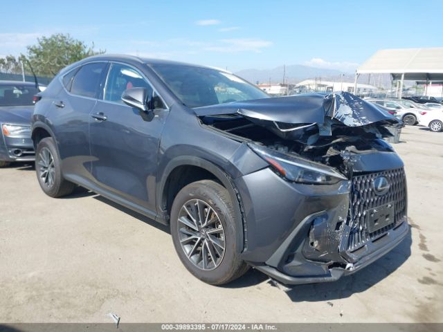 LEXUS NX 2022 jtjakcezxn5005639